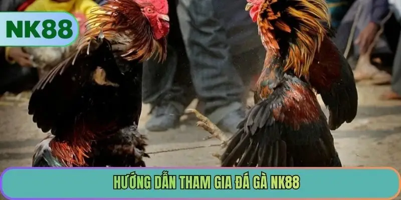 Hướng dẫn tham gia đá gà NK88